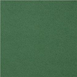 Фоамиран EVA-1010 10шт 20х30см 1мм ВК014 7714024,  т.зеленый