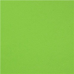 Фоамиран EVA-1010 10шт 20х30см 1мм ВК043 7714024,  зеленый