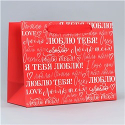 Пакет ламинированный горизонтальный «Люблю», MS 23 х 18 х 10 см
