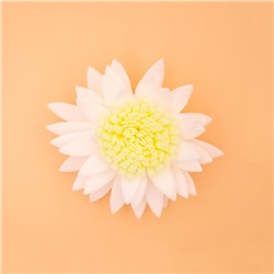 Головки цветов Хризантема белая 45мм 30шт SF-2294 двухцветная 15-608