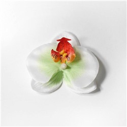 Головки Орхидеи 30шт SF-2293 зелено-белый 15-36