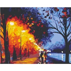 Картина по номерам "Прогулка в ночном парке" 50х40см