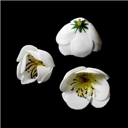 Головки цветов Крокус 40мм 25шт SF-3003 белый 15-146