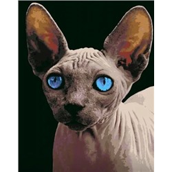 Картина по номерам "Сфинкс с голубыми глазами" 50х40см