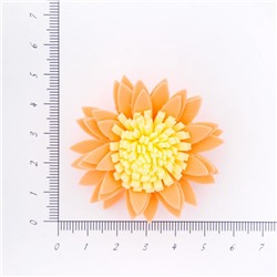 Головки цветов Хризантема персиковая 45мм 30шт SF-2294 двухцветная 15-609