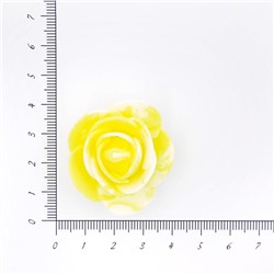 Головки цветов Роза мраморная 35мм 25шт SF-3006 желтый 15-822