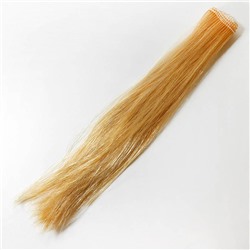 Волосы прямые трессы h25-28см,  L47-50см,  золотистый Р03