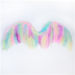 Крылья ангела 77×55 см