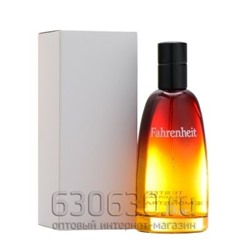 ТЕСТЕР Christian Dior "Fahrenheit Pour Homme" EDT 100 ml (Турция)