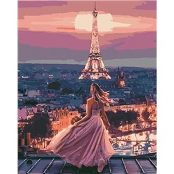 Картина по номерам "На крыше в Париже" 50х40см