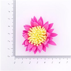 Головки цветов Хризантема розовая 45мм 30шт SF-2294 двухцветная 15-610