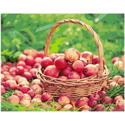 Картина по номерам GX 38034 Корзинка с яблоками 40х50см