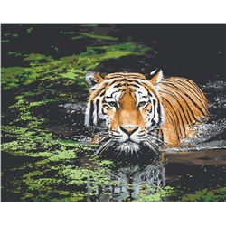 Картина по номерам "Тигр в реке" 50х40см