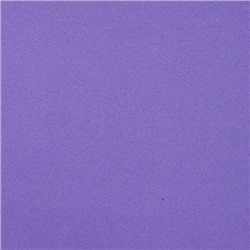 Фоамиран EVA-1010 10шт 20х30см 1мм ВК023 7714024,  фиолетовый