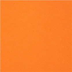 Фоамиран EVA-1010 10шт 20х30см 1мм ВК008 7714024,  оранжевый