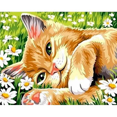 Картина по номерам "Кот и ромашки" 50х40см